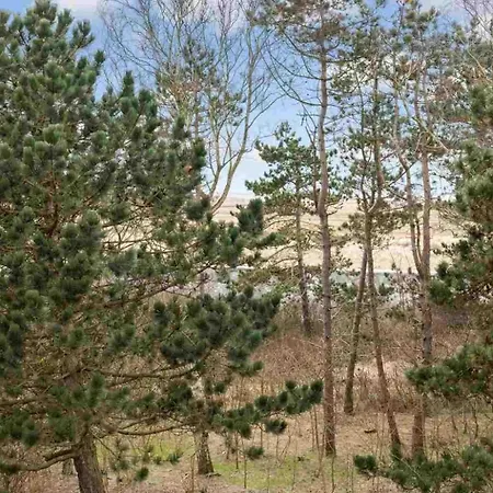 Apartment 12 Id 325
