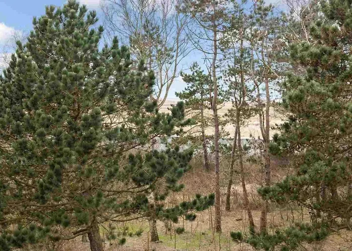 Apartamento 12 Id 325